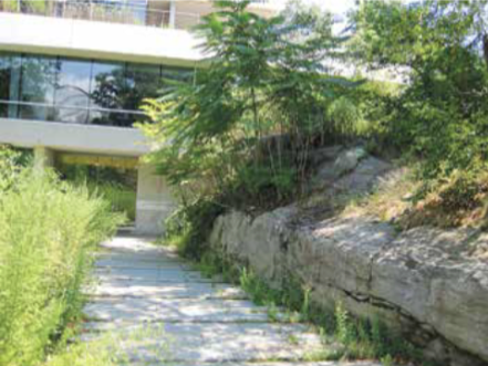Vegetated rock wall meets glass